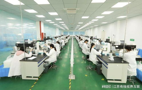 砥礪前行 打造生物醫藥民族品牌，引領技術研發與轉讓新篇章